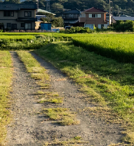 会社概要