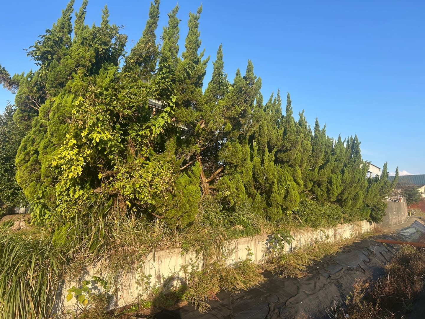 H様邸外構リフォームBefore1