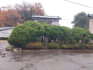 K様邸外構リフォームBefore3